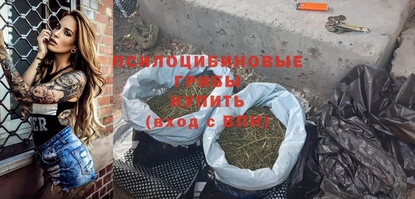 молекула духа Белоозёрский