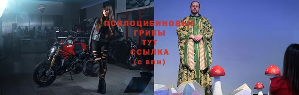 mix Белокуриха