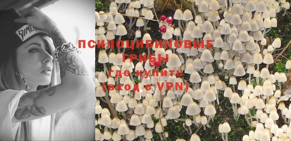 молекула духа Белоозёрский