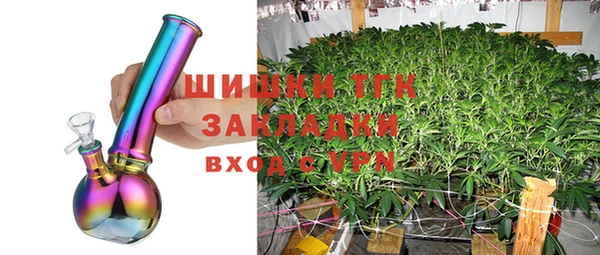 молекула духа Белоозёрский