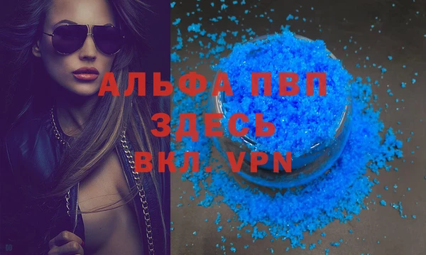 молекула духа Белоозёрский
