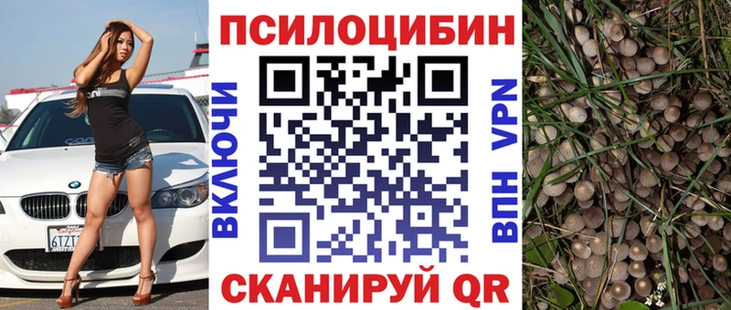 наркошоп Калуга Галлюциногенные грибы Psilocybe