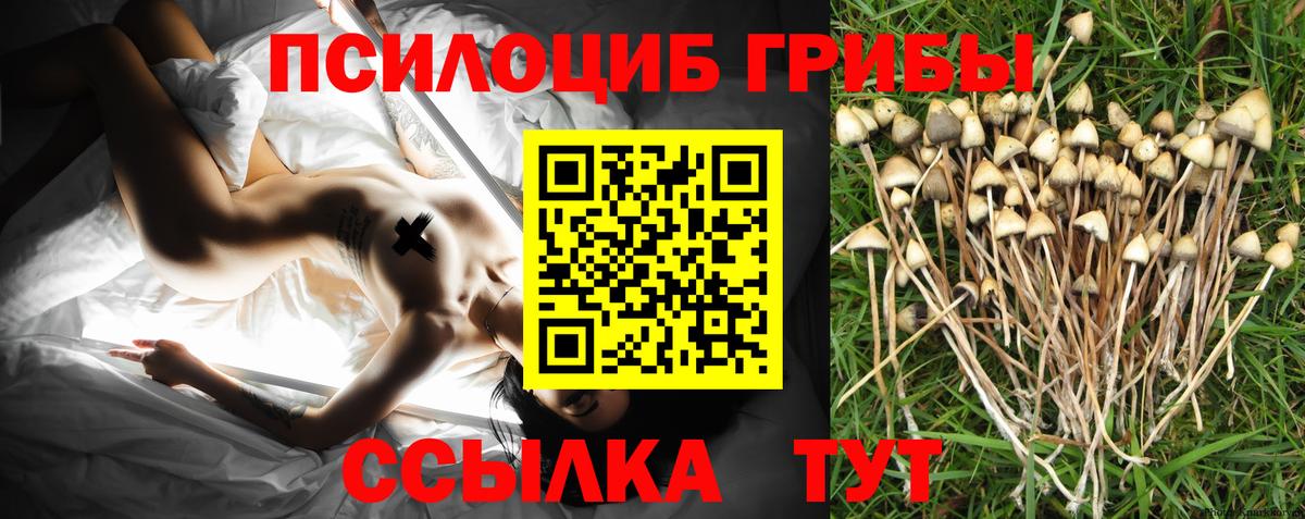 Калуга  Галлюциногенные грибы мицелий  Галлюциногенные грибы мухоморы  купить наркотики цена  Вход с VPN 