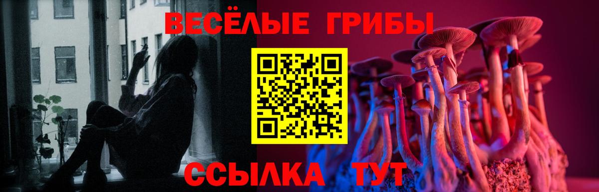 Псилоцибиновые грибы GOLDEN TEACHER Калуга
