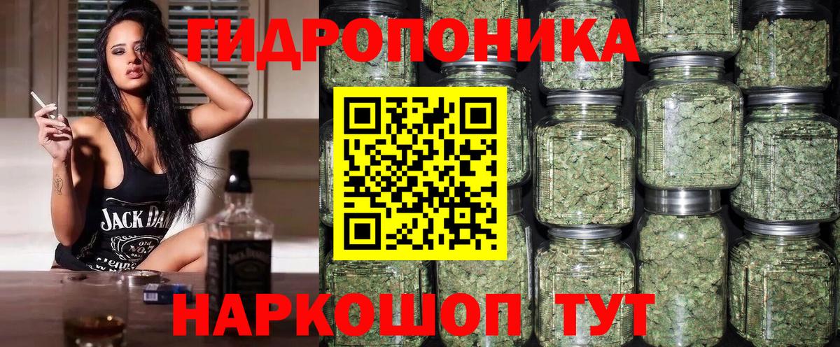 МАРИХУАНА ГИДРОПОН  Канабис сатива  Калуга  Вход с VPN  МАРИХУАНА планчик 